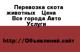 Перевозка скота животных › Цена ­ 39 - Все города Авто » Услуги   